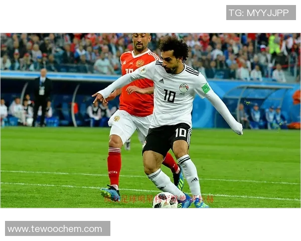 美国足球明星全景盘点及其辉煌成就回顾