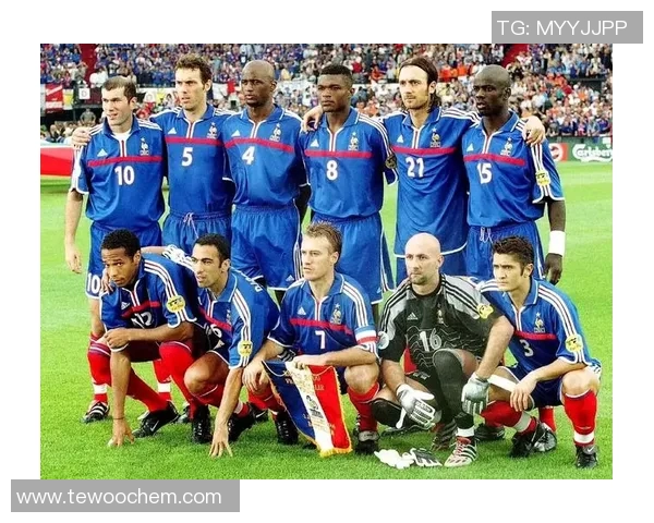 2016年欧洲杯冠军揭晓回顾法国队辉煌历程与精彩瞬间